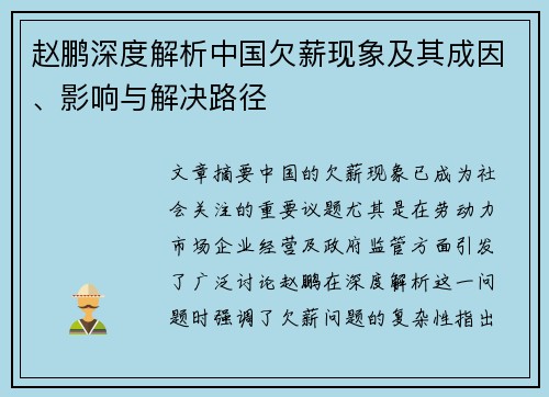 赵鹏深度解析中国欠薪现象及其成因、影响与解决路径 赵鹏深度解析中国欠薪现象及其成因、影响与解决路径
